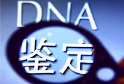 渭南妇幼保建院可以做DNA亲子鉴定吗，渭南医院办理亲子鉴定需要什么材料和流程